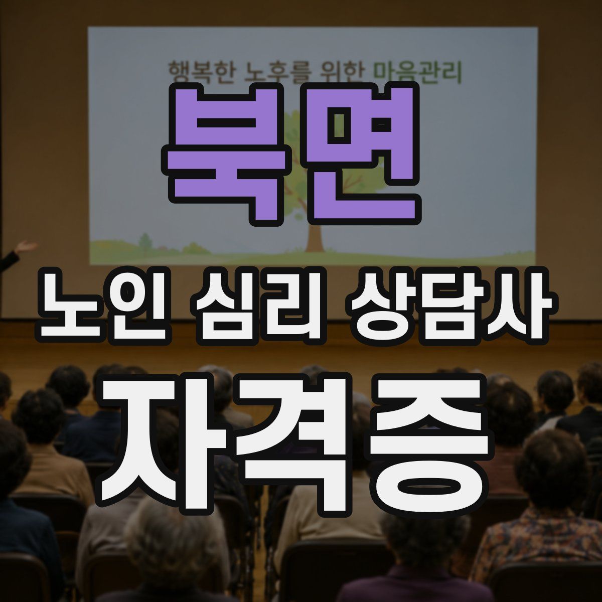 북면 노인 심리 상담사 자격증