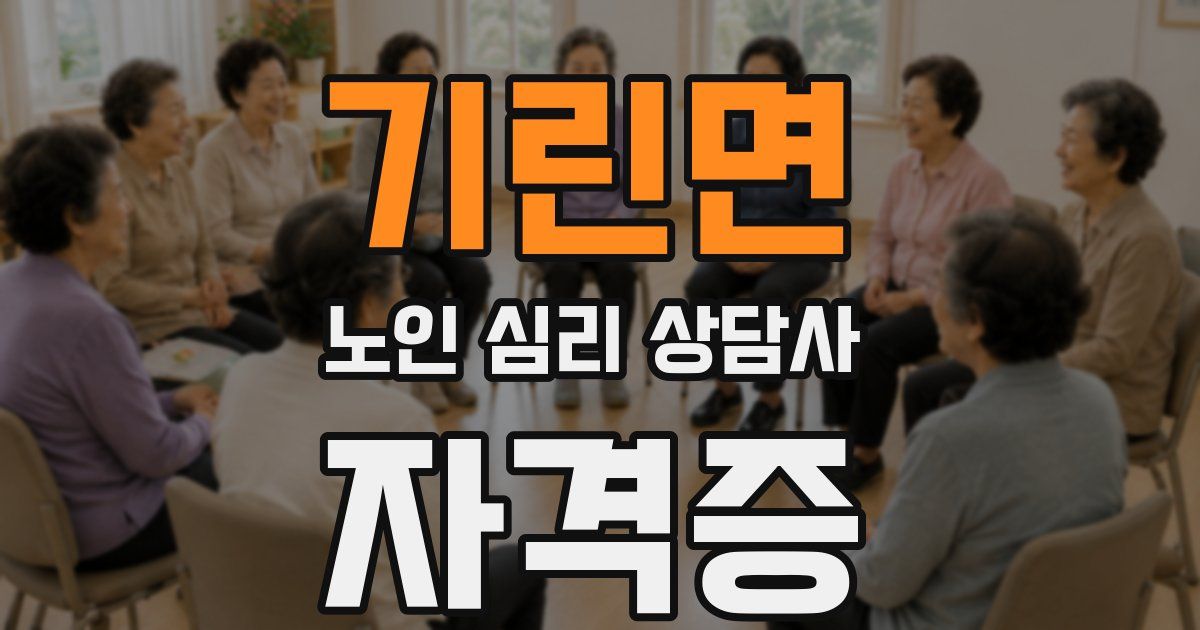 기린면 노인 심리 상담사 자격증