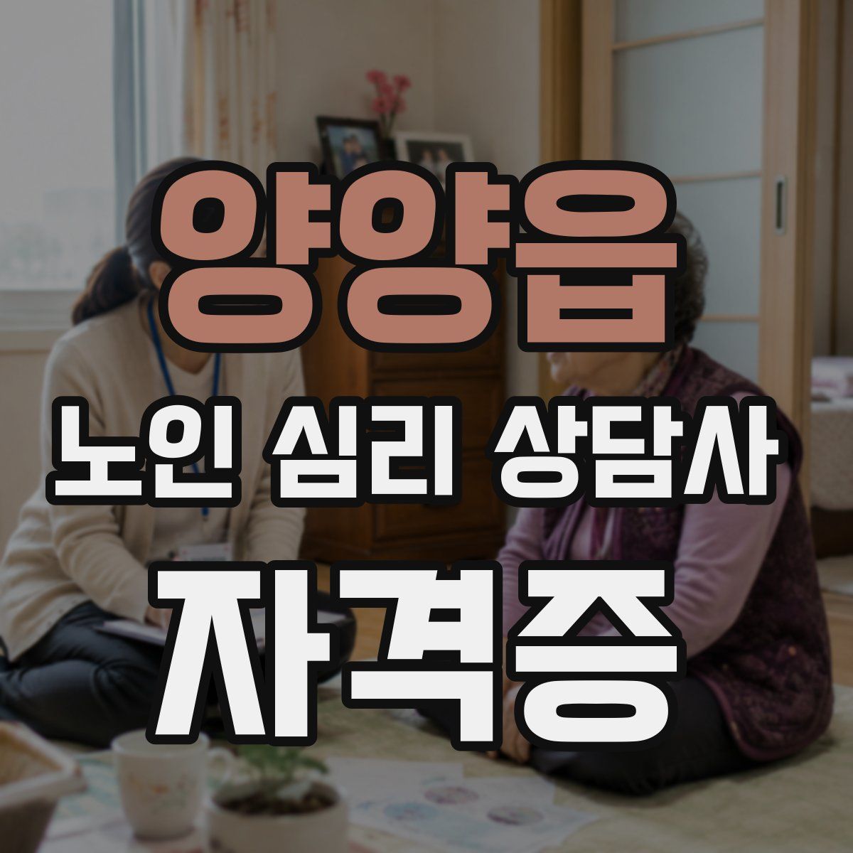 양양읍 노인 심리 상담사 자격증
