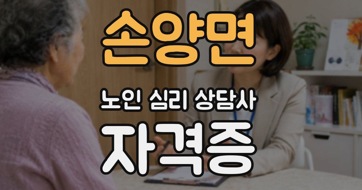 손양면 노인 심리 상담사 자격증