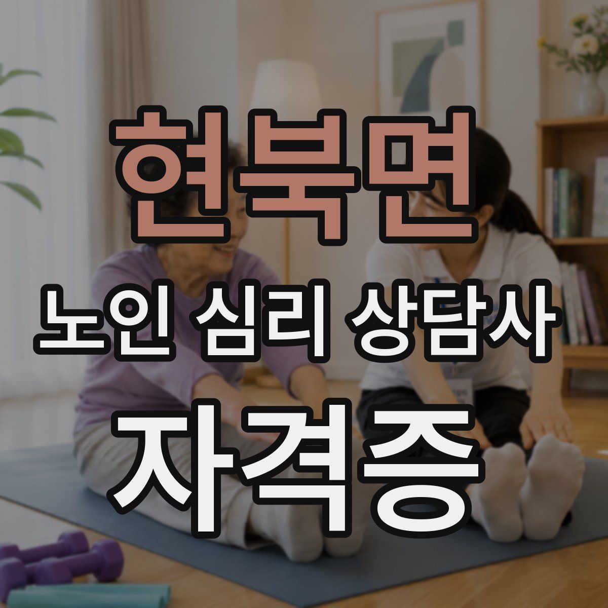 현북면 노인 심리 상담사 자격증