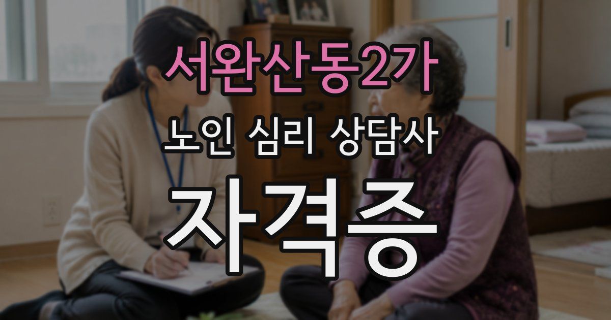 서완산동2가 노인 심리 상담사 자격증