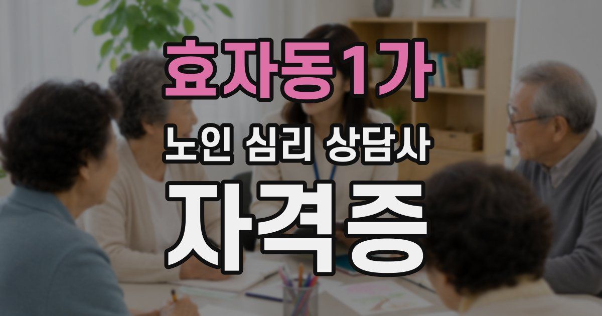 효자동1가 노인 심리 상담사 자격증