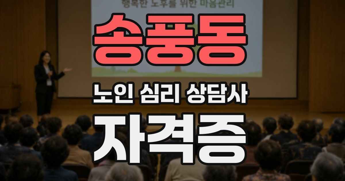 송풍동 노인 심리 상담사 자격증