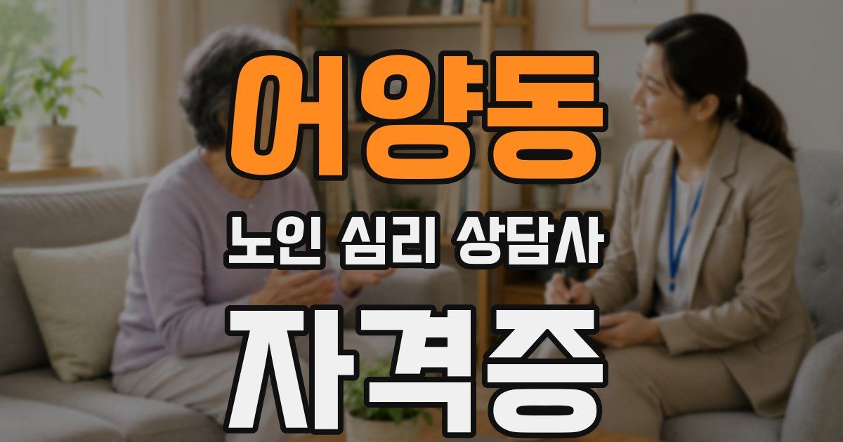 어양동 노인 심리 상담사 자격증