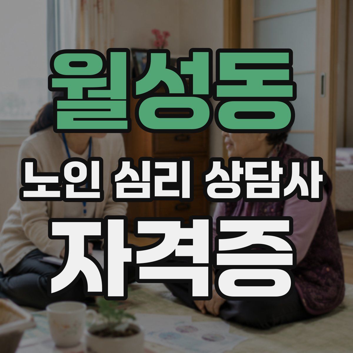 월성동 노인 심리 상담사 자격증