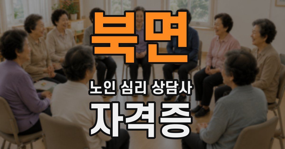 북면 노인 심리 상담사 자격증