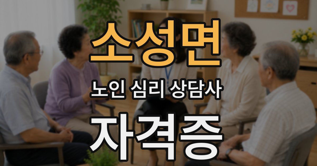 소성면 노인 심리 상담사 자격증