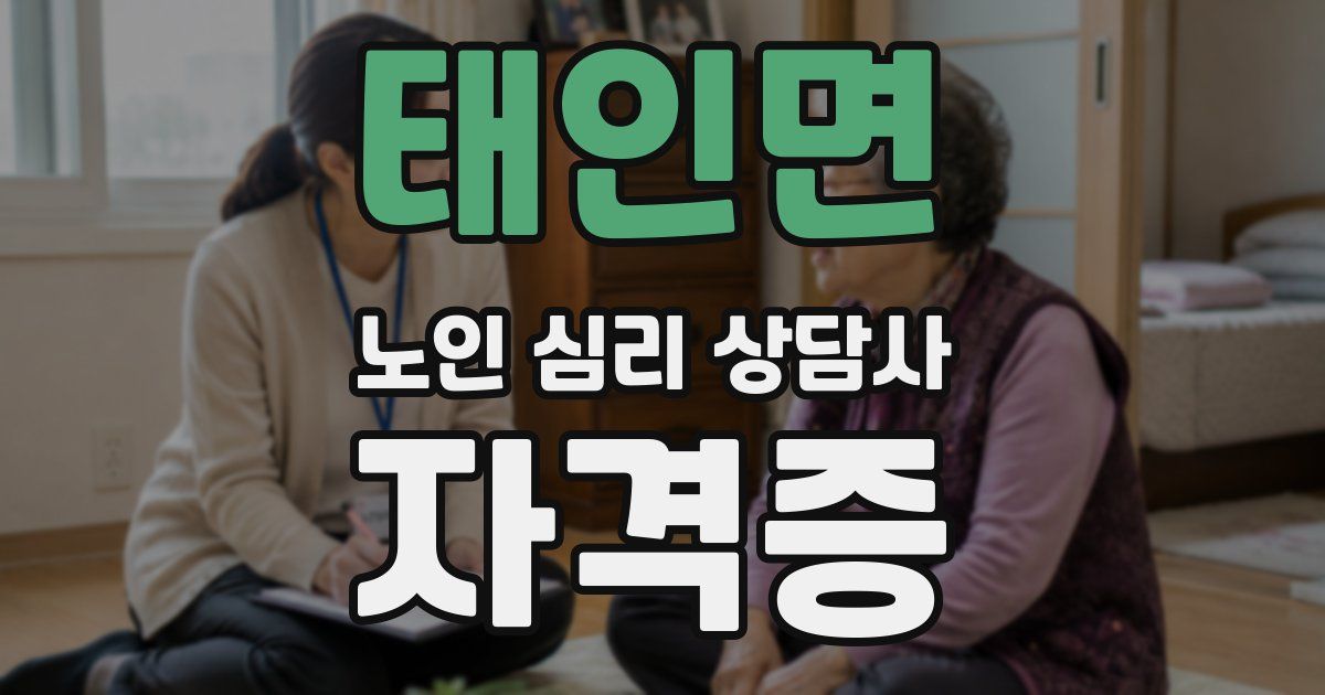 태인면 노인 심리 상담사 자격증