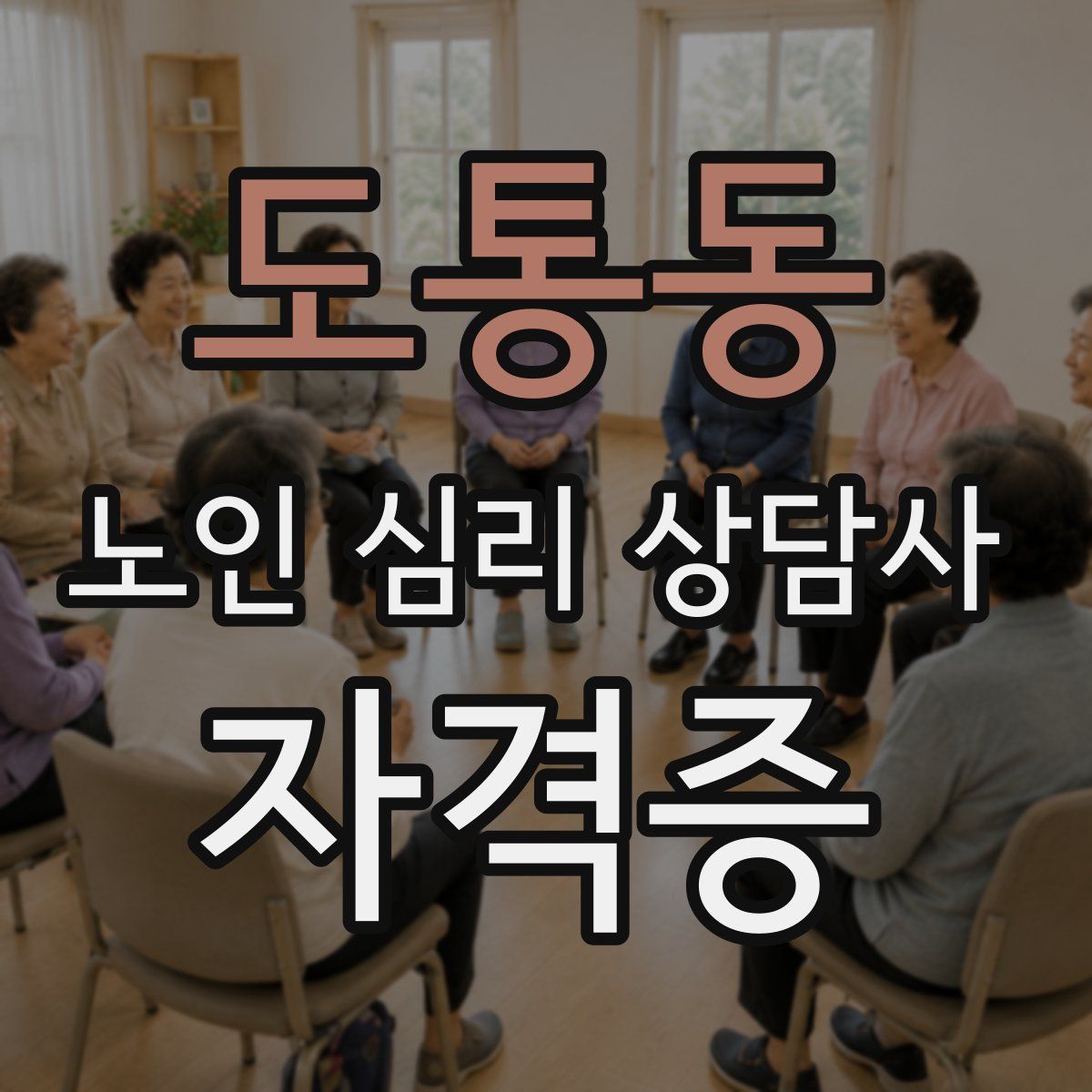 도통동 노인 심리 상담사 자격증