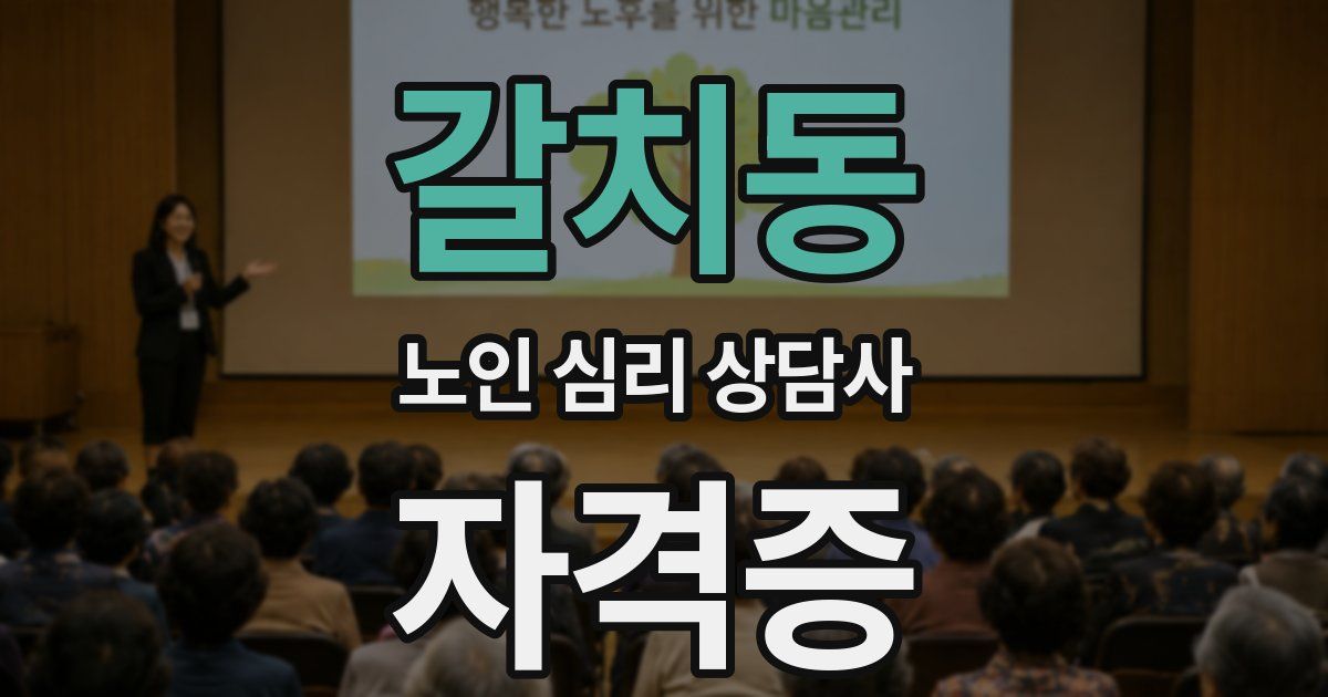 갈치동 노인 심리 상담사 자격증
