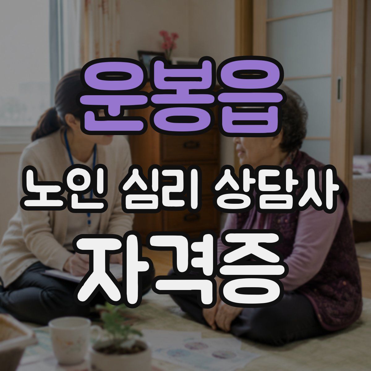 운봉읍 노인 심리 상담사 자격증