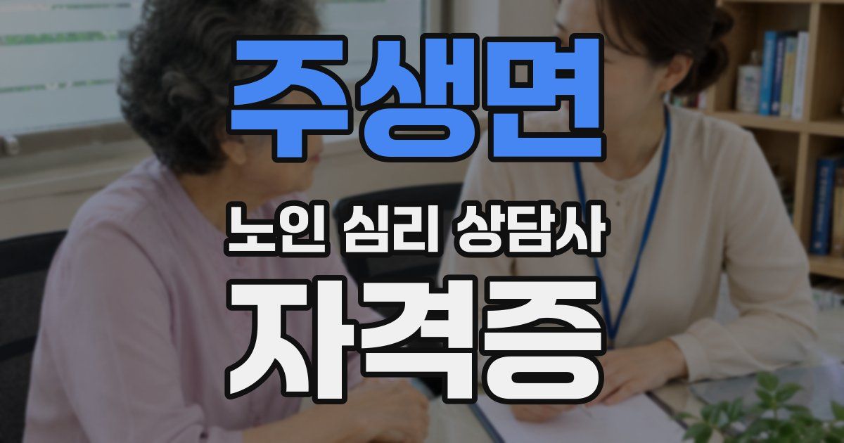 주생면 노인 심리 상담사 자격증