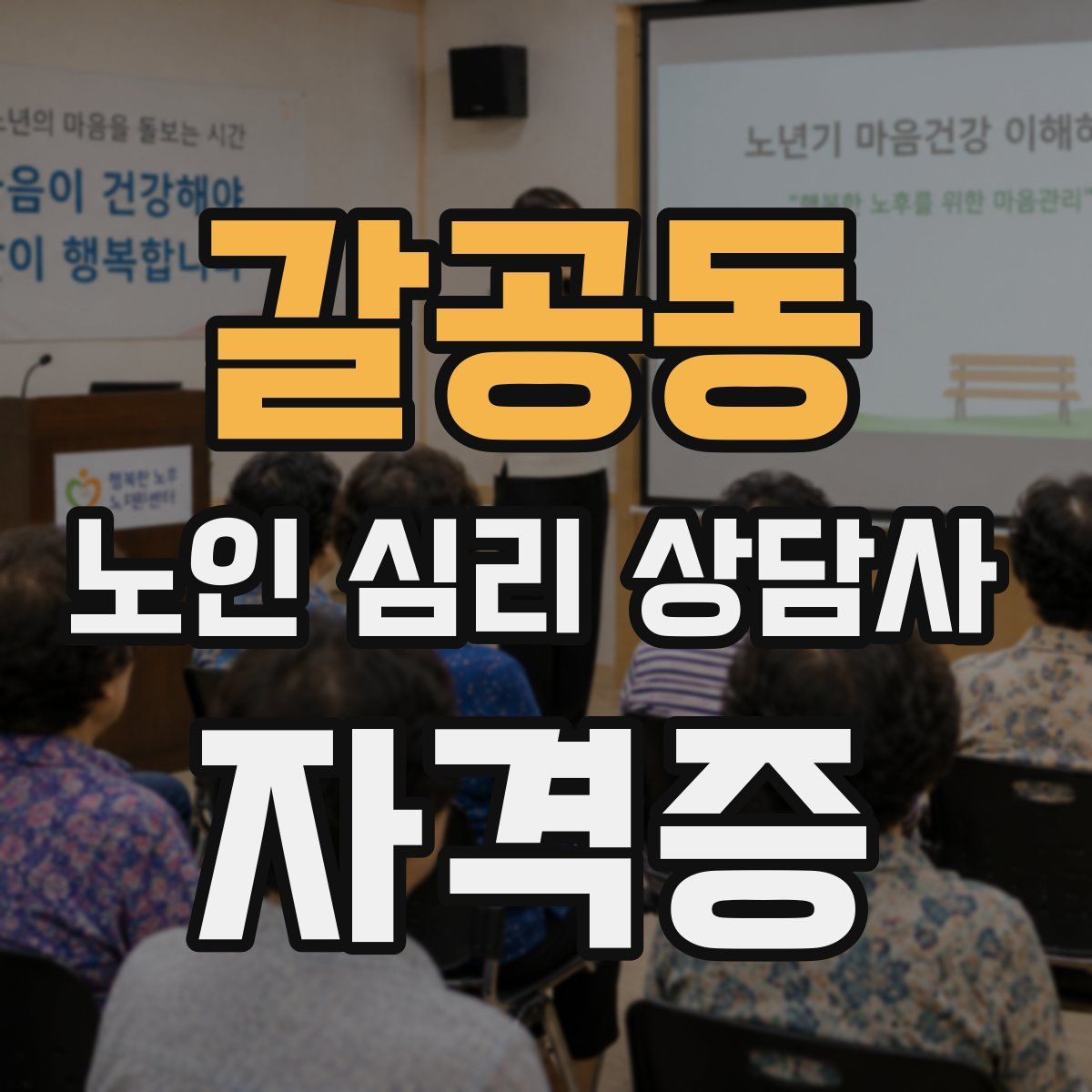 갈공동 노인 심리 상담사 자격증