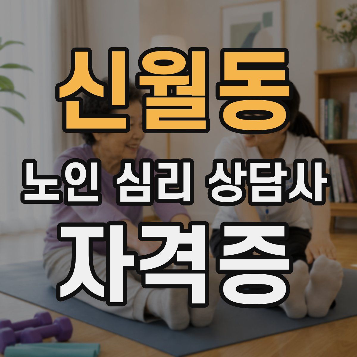 신월동 노인 심리 상담사 자격증