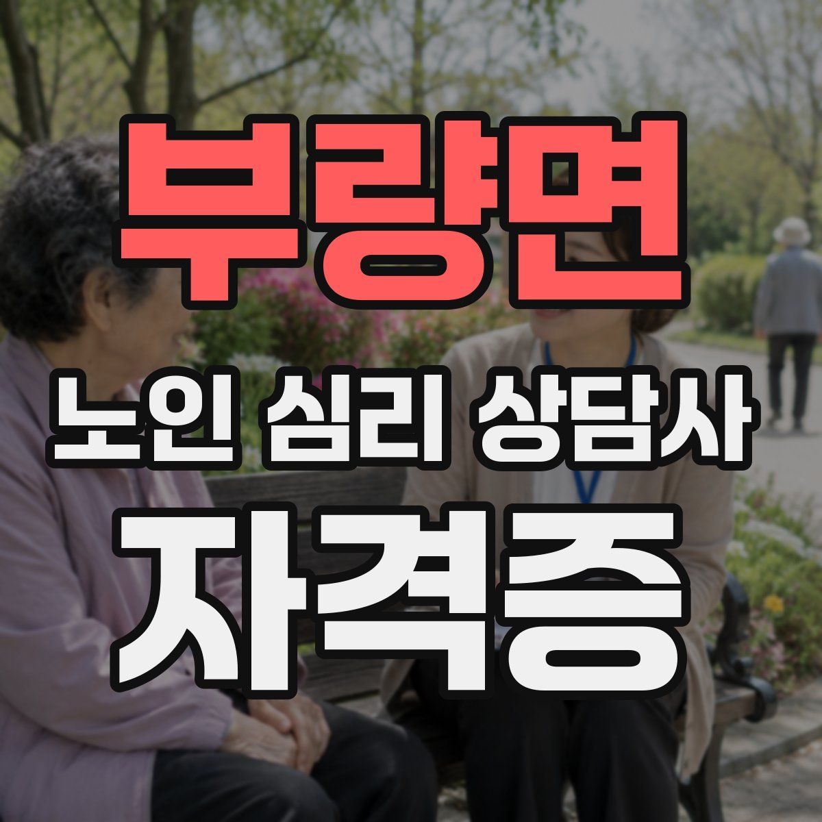 부량면 노인 심리 상담사 자격증