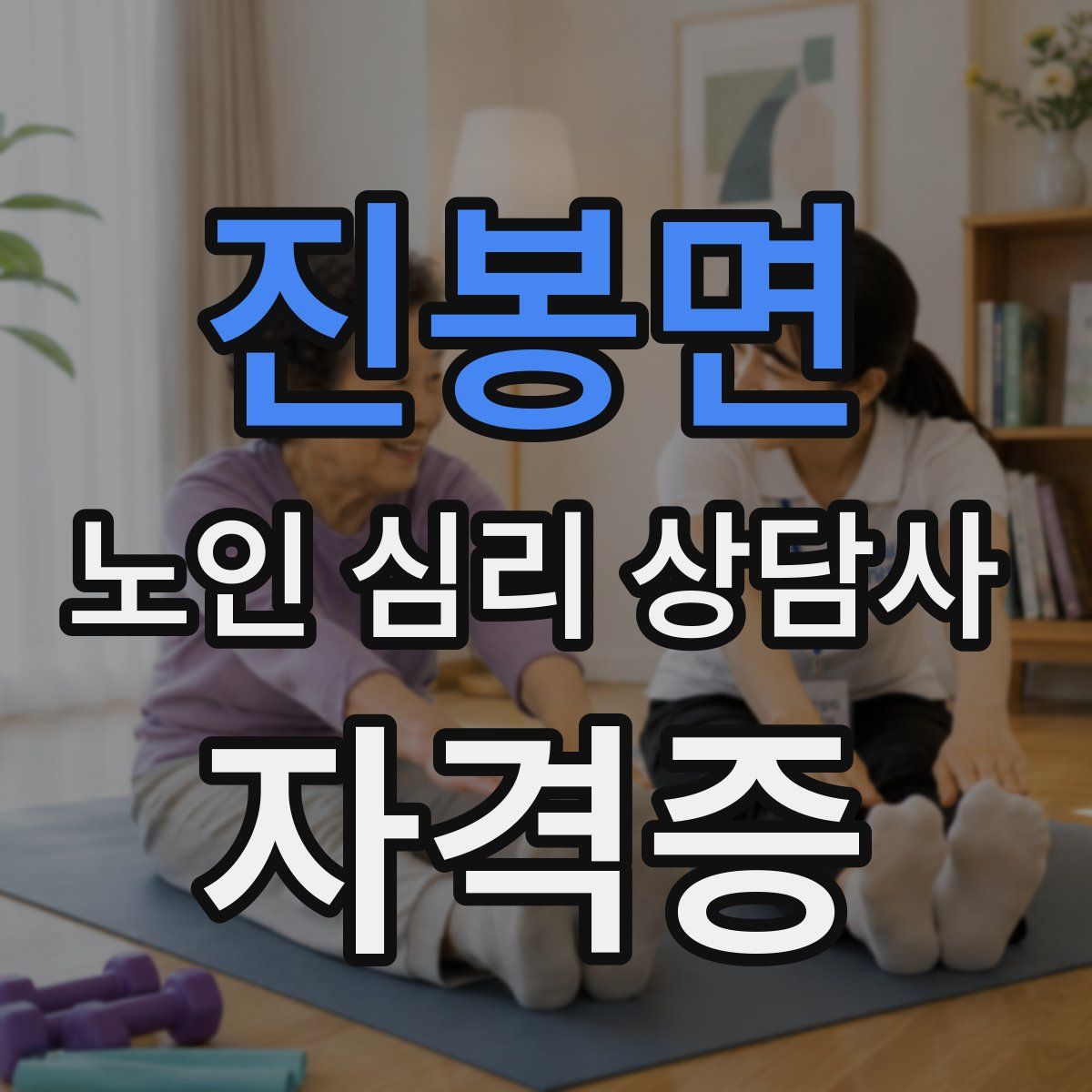 진봉면 노인 심리 상담사 자격증