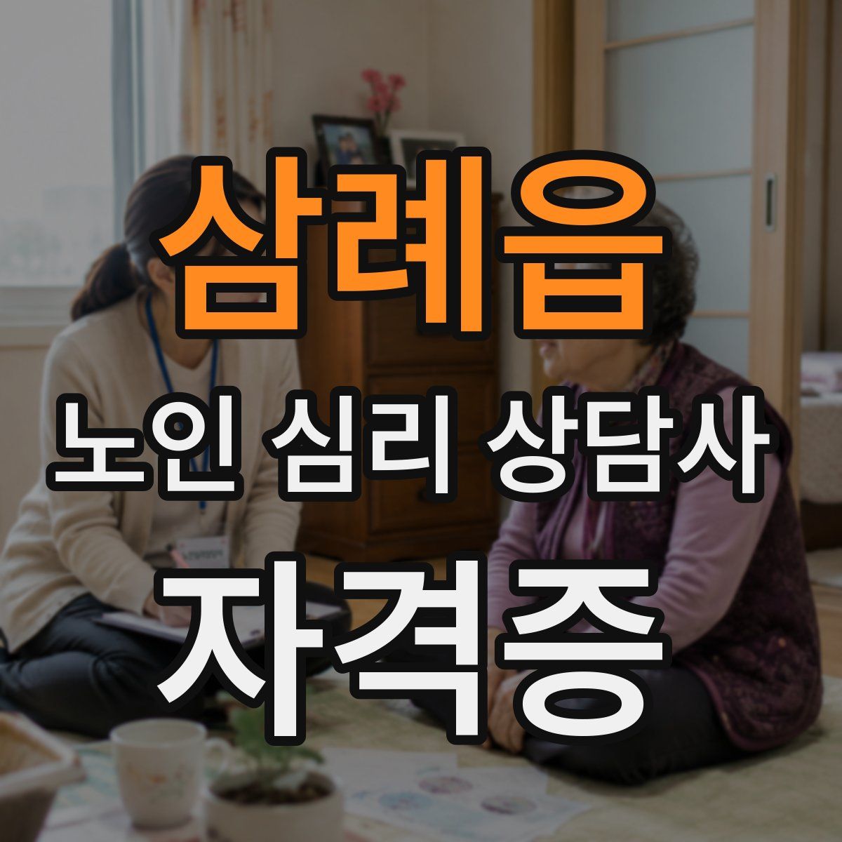 삼례읍 노인 심리 상담사 자격증