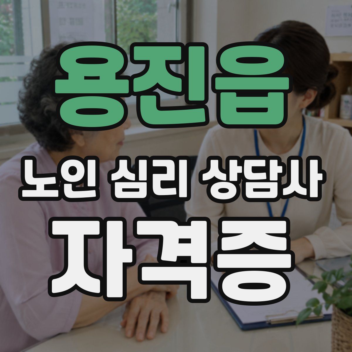 용진읍 노인 심리 상담사 자격증