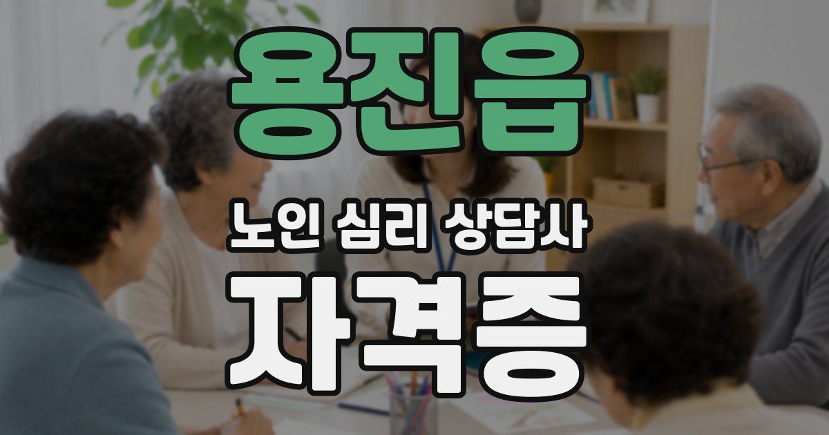 용진읍 노인 심리 상담사 자격증