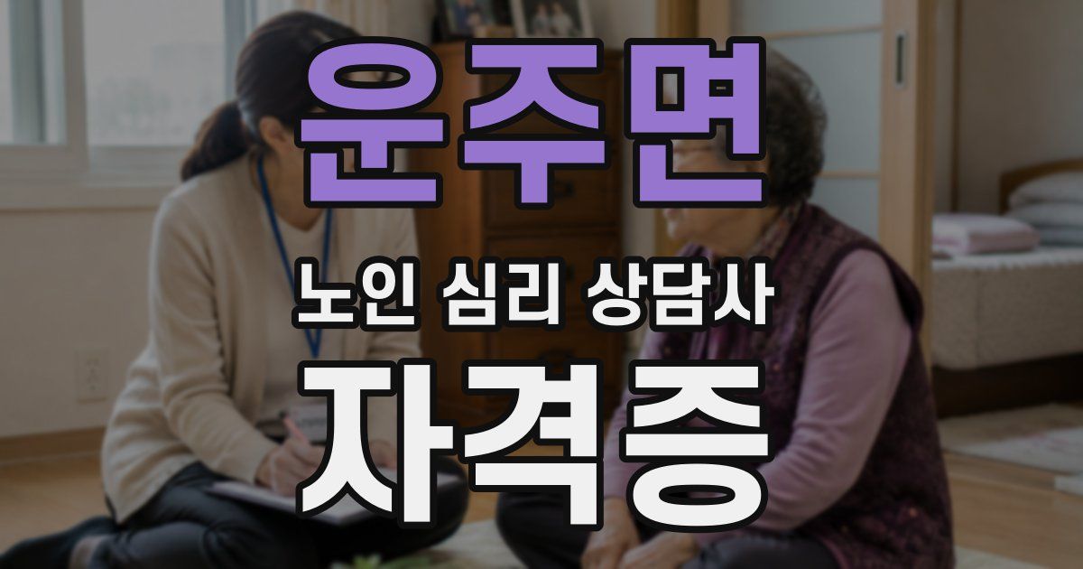 운주면 노인 심리 상담사 자격증
