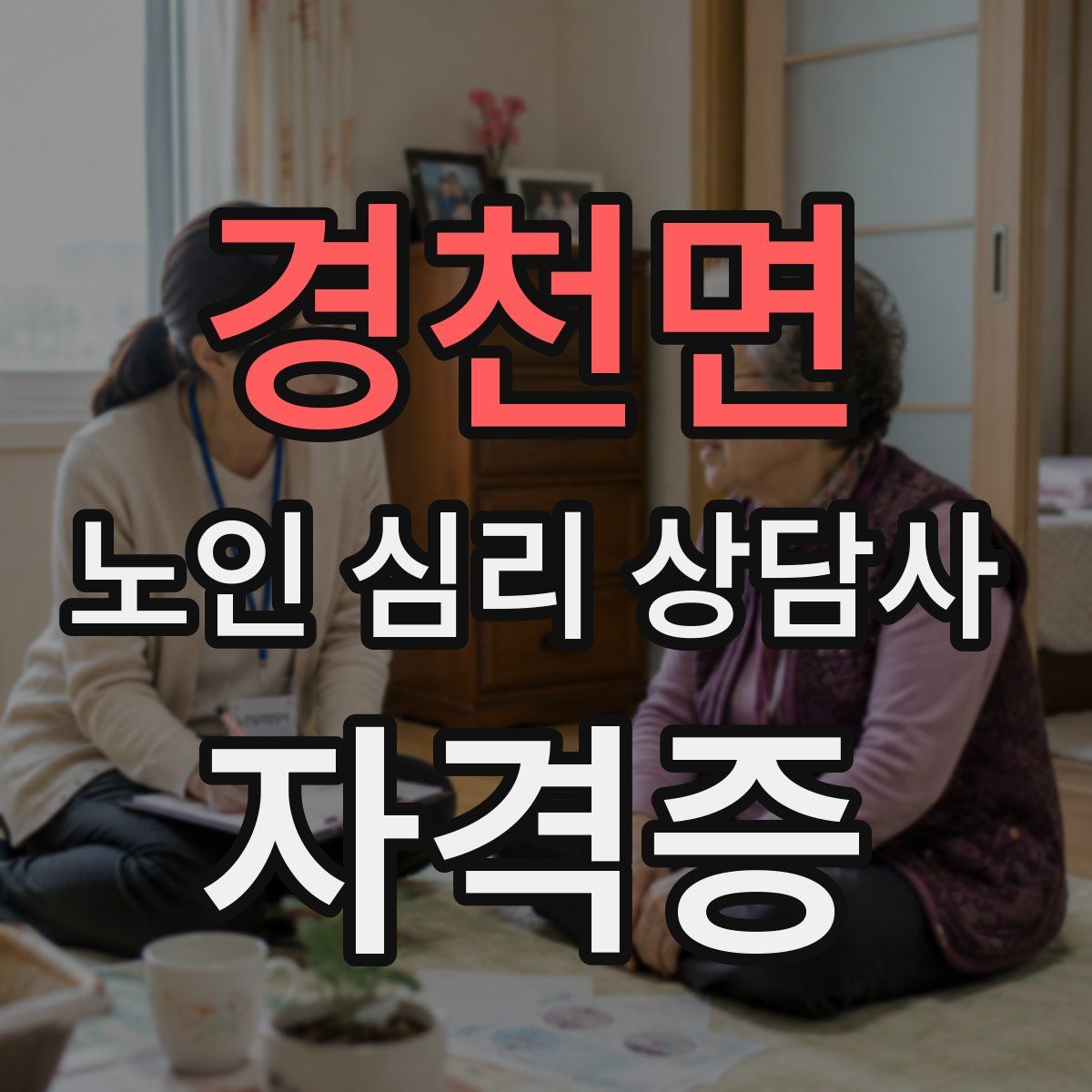경천면 노인 심리 상담사 자격증