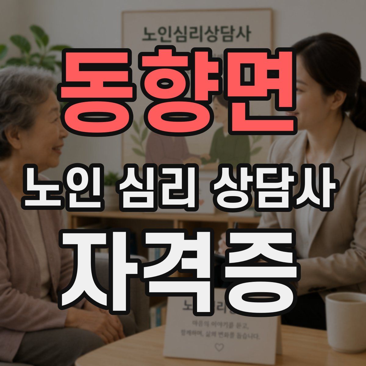 동향면 노인 심리 상담사 자격증