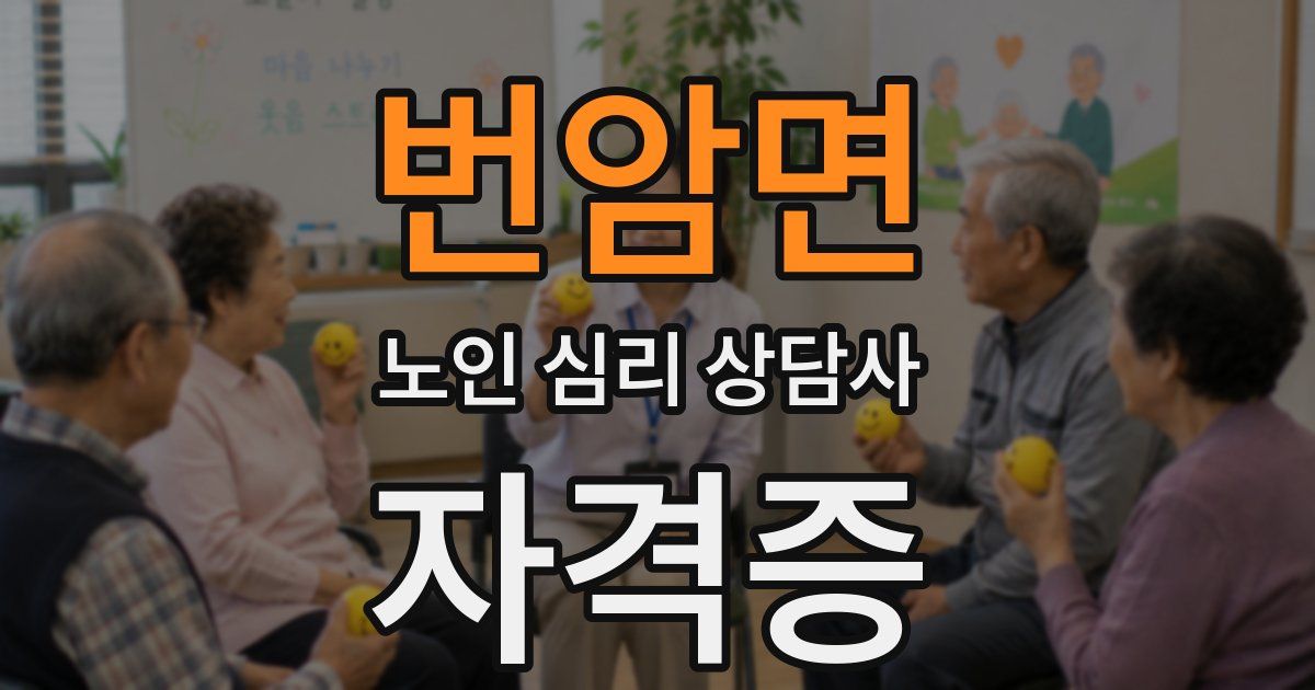 번암면 노인 심리 상담사 자격증