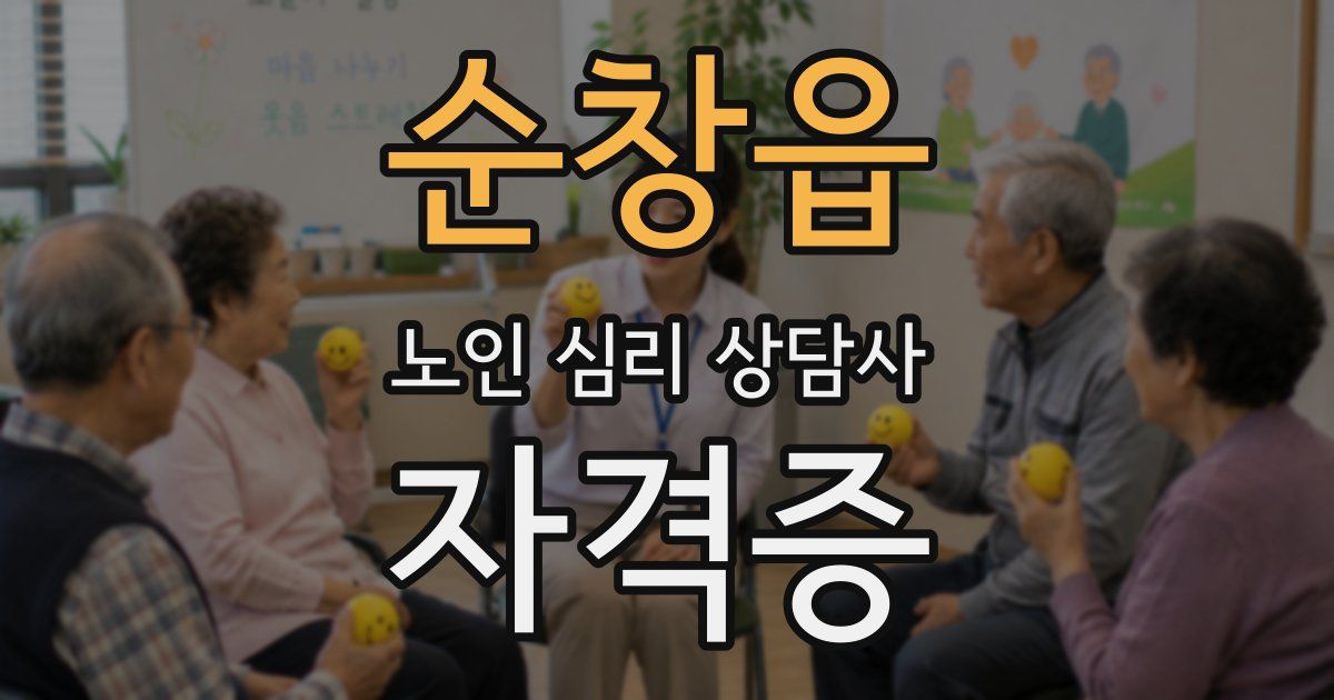 순창읍 노인 심리 상담사 자격증