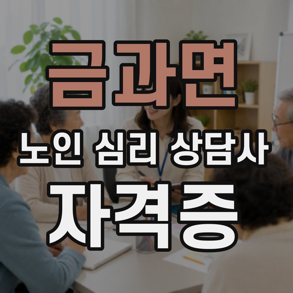 금과면 노인 심리 상담사 자격증
