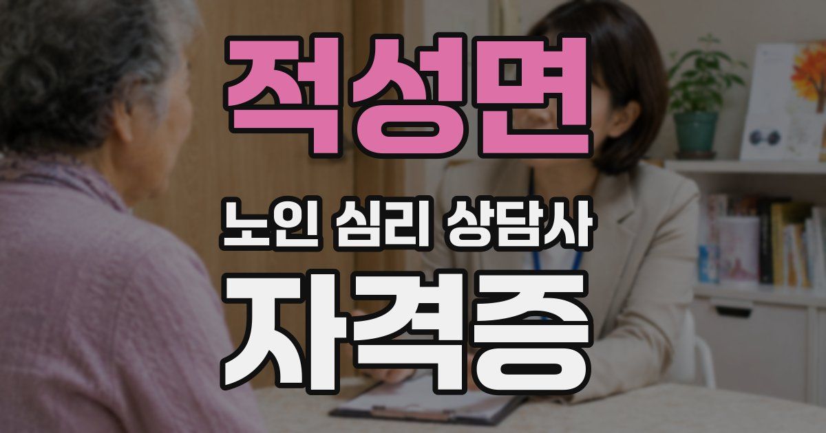 적성면 노인 심리 상담사 자격증