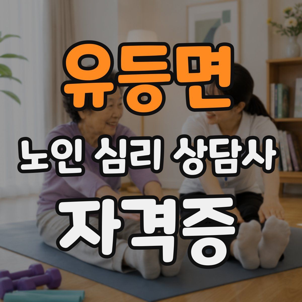 유등면 노인 심리 상담사 자격증