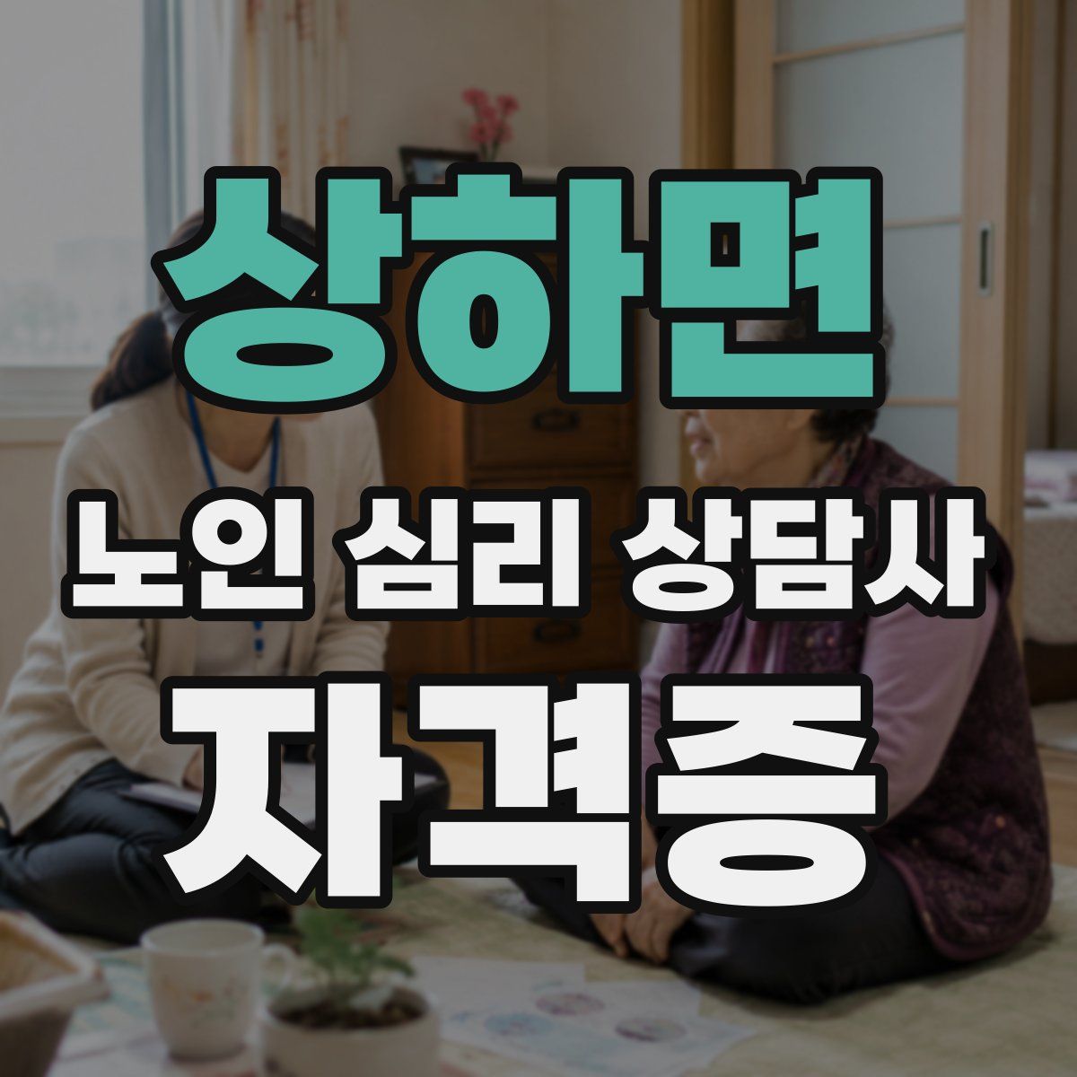 상하면 노인 심리 상담사 자격증