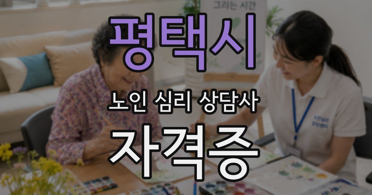 평택시 노인 심리 상담사 자격증