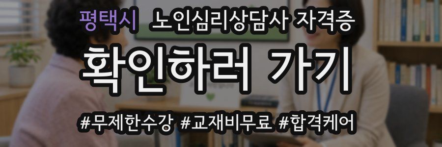 평택시 노인 심리 상담사 자격증