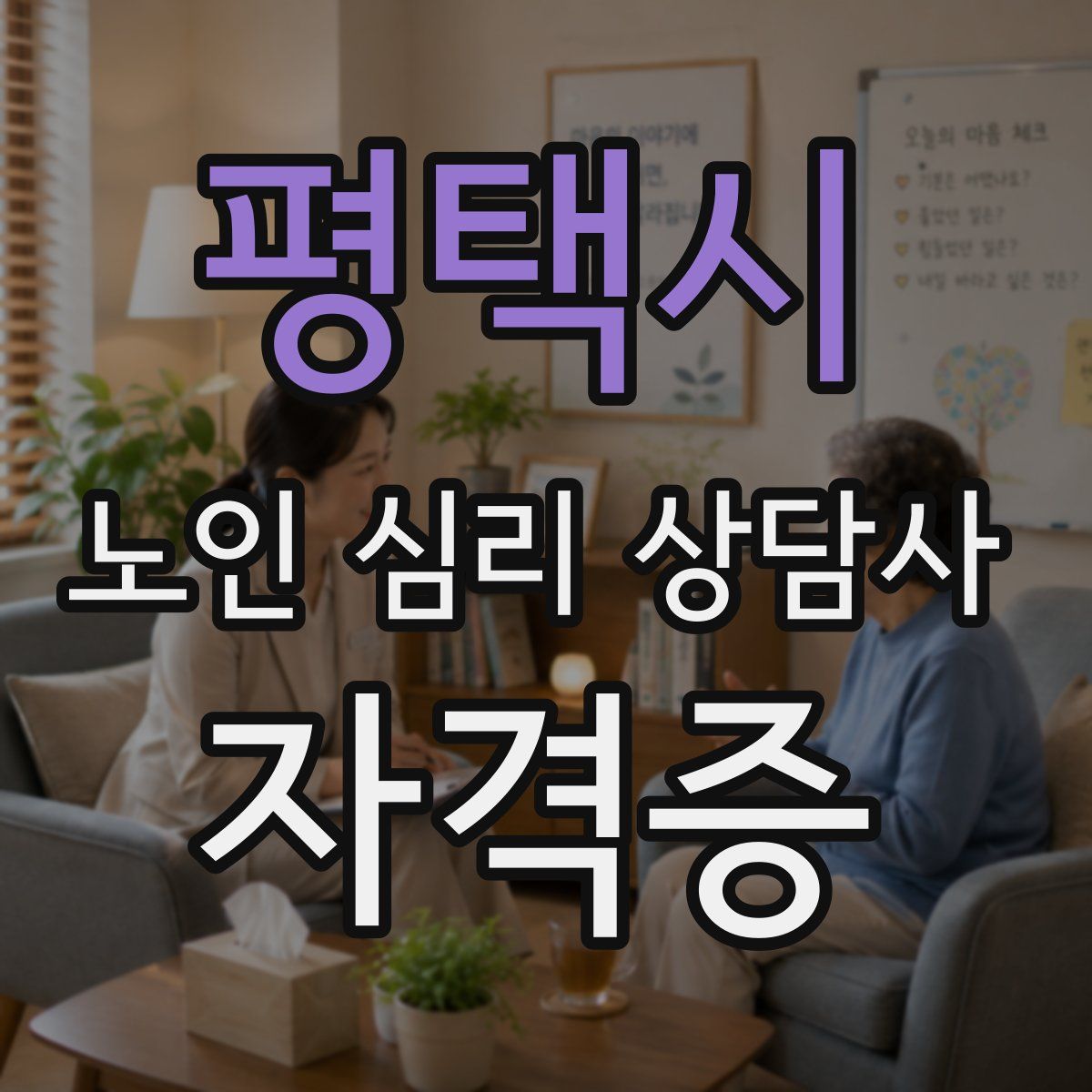 평택시 노인 심리 상담사 자격증