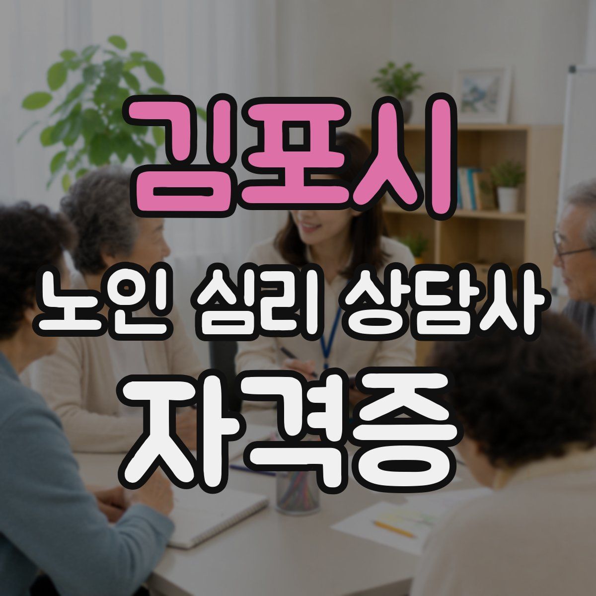 김포시 노인 심리 상담사 자격증