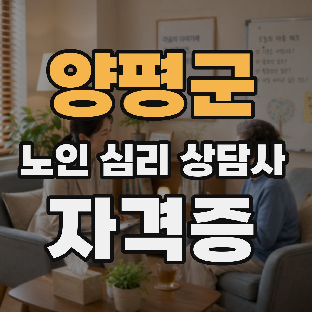 양평군 노인 심리 상담사 자격증