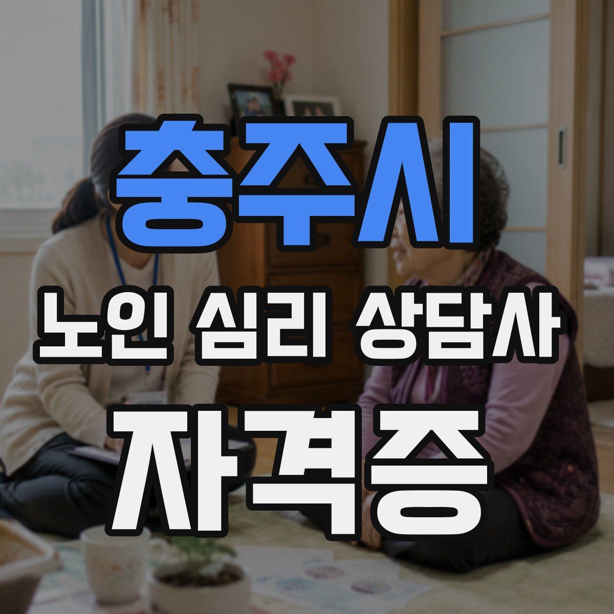 충주시 노인 심리 상담사 자격증
