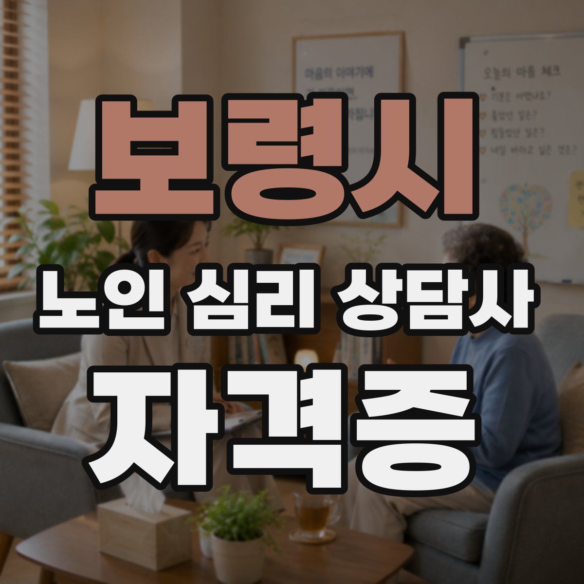 보령시 노인 심리 상담사 자격증