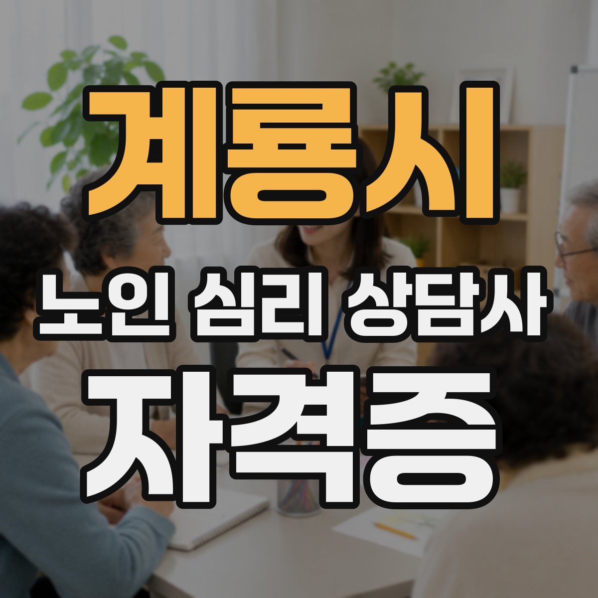 계룡시 노인 심리 상담사 자격증