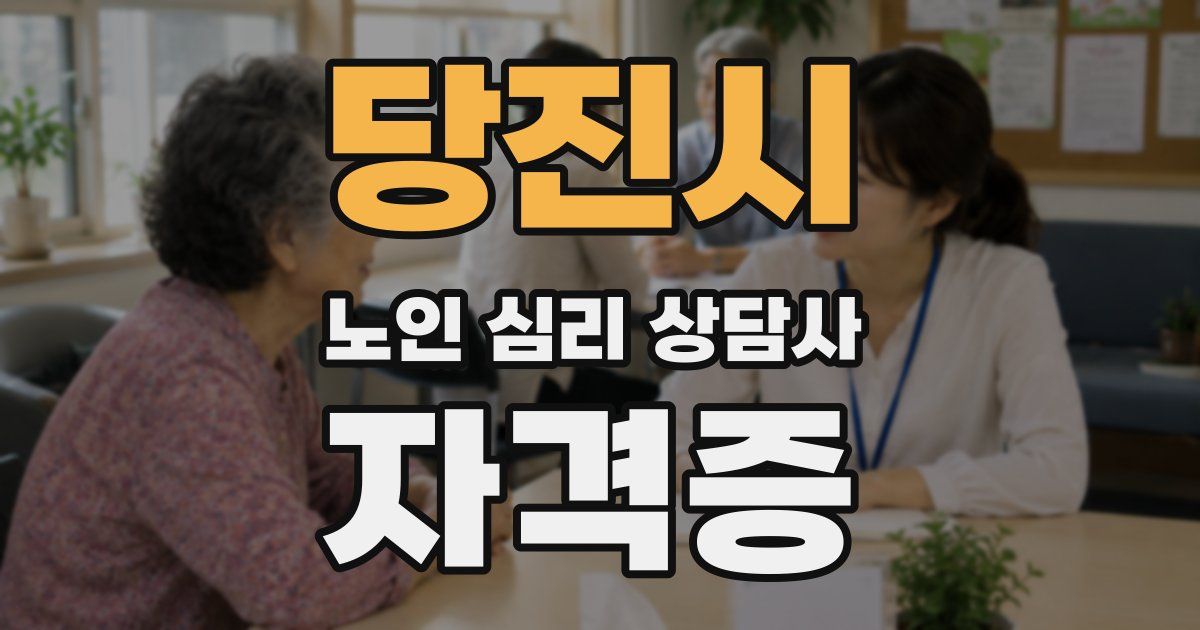 당진시 노인 심리 상담사 자격증