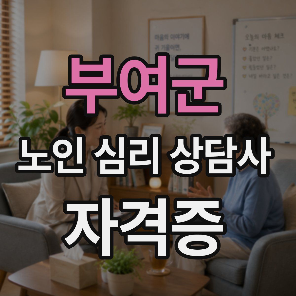 부여군 노인 심리 상담사 자격증