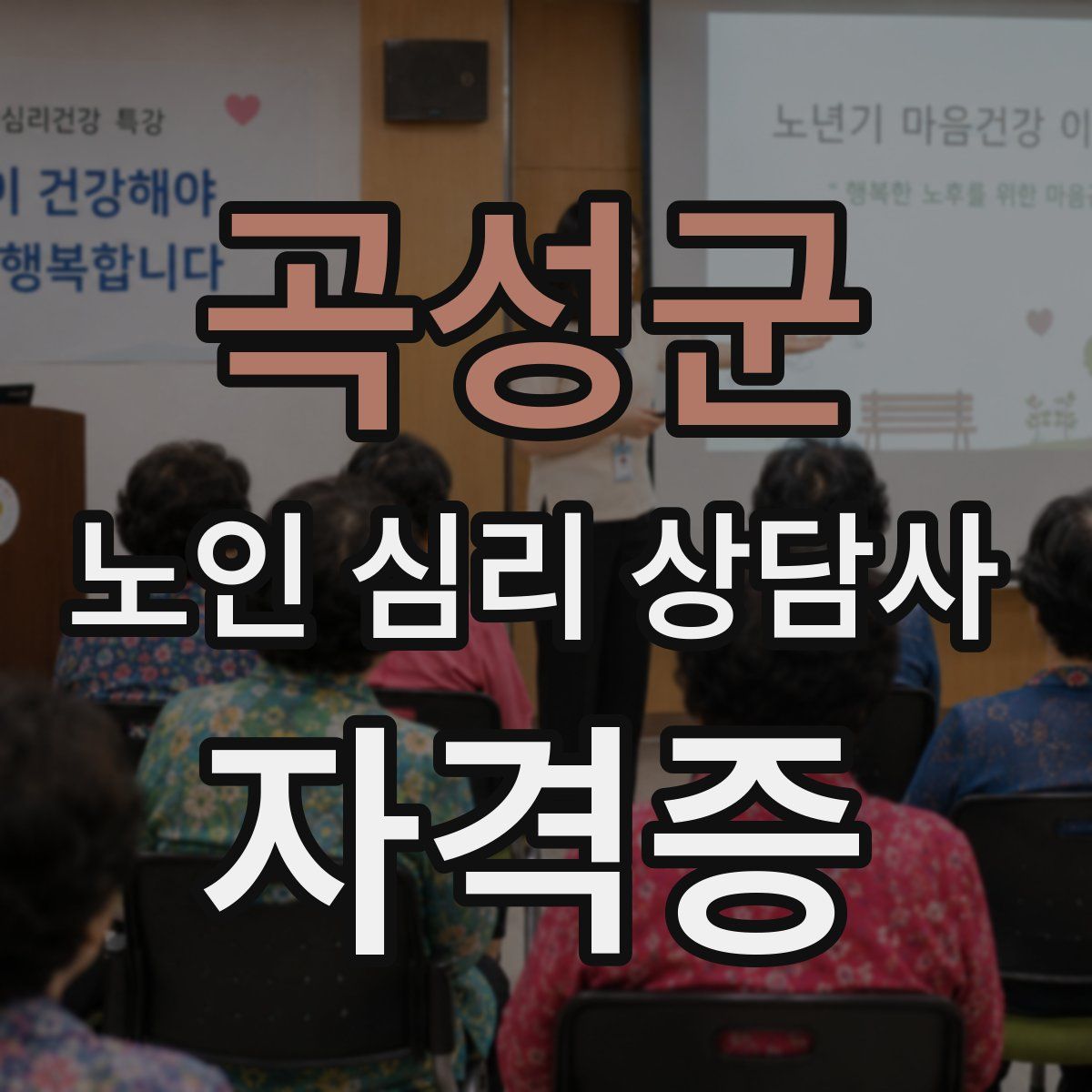 곡성군 노인 심리 상담사 자격증