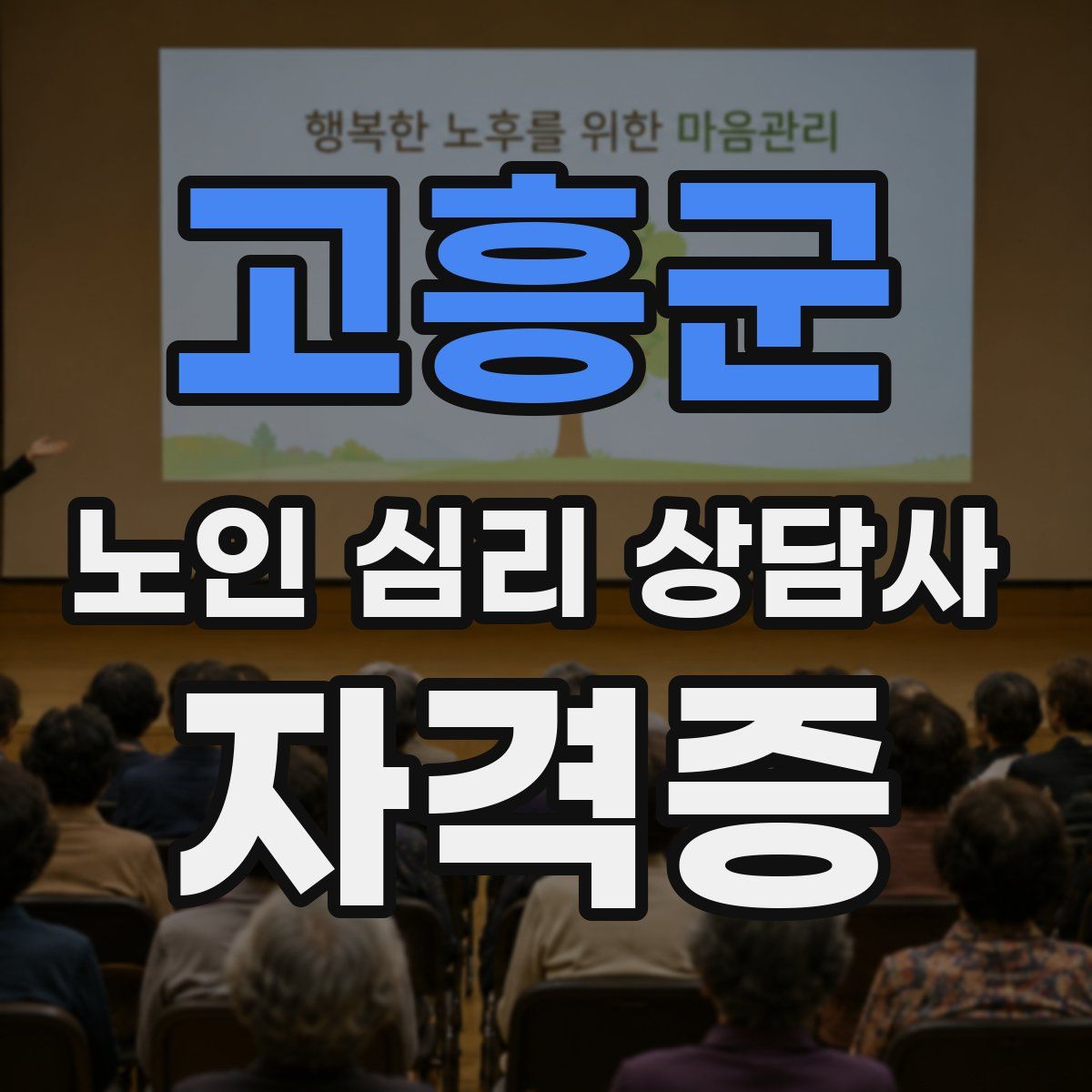고흥군 노인 심리 상담사 자격증