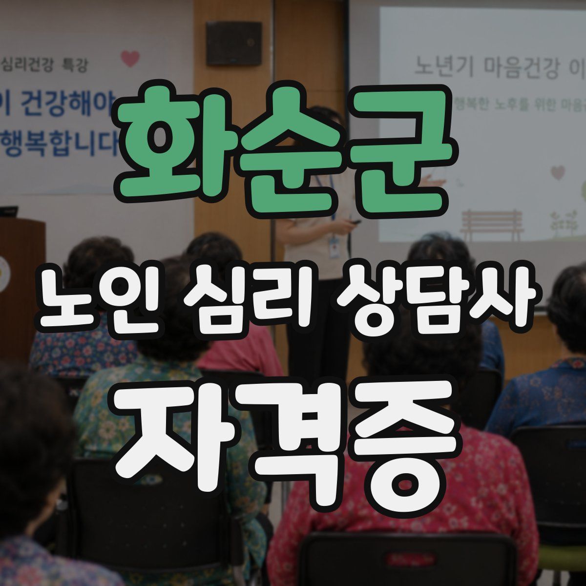 화순군 노인 심리 상담사 자격증