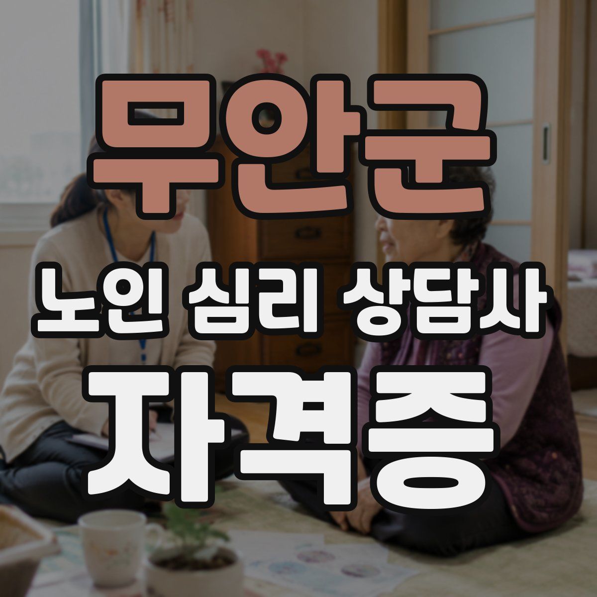 무안군 노인 심리 상담사 자격증