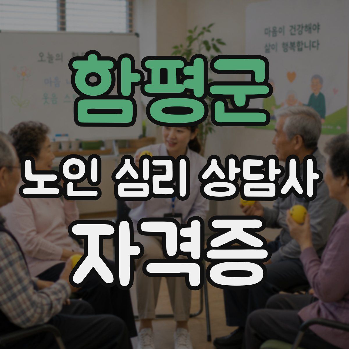 함평군 노인 심리 상담사 자격증