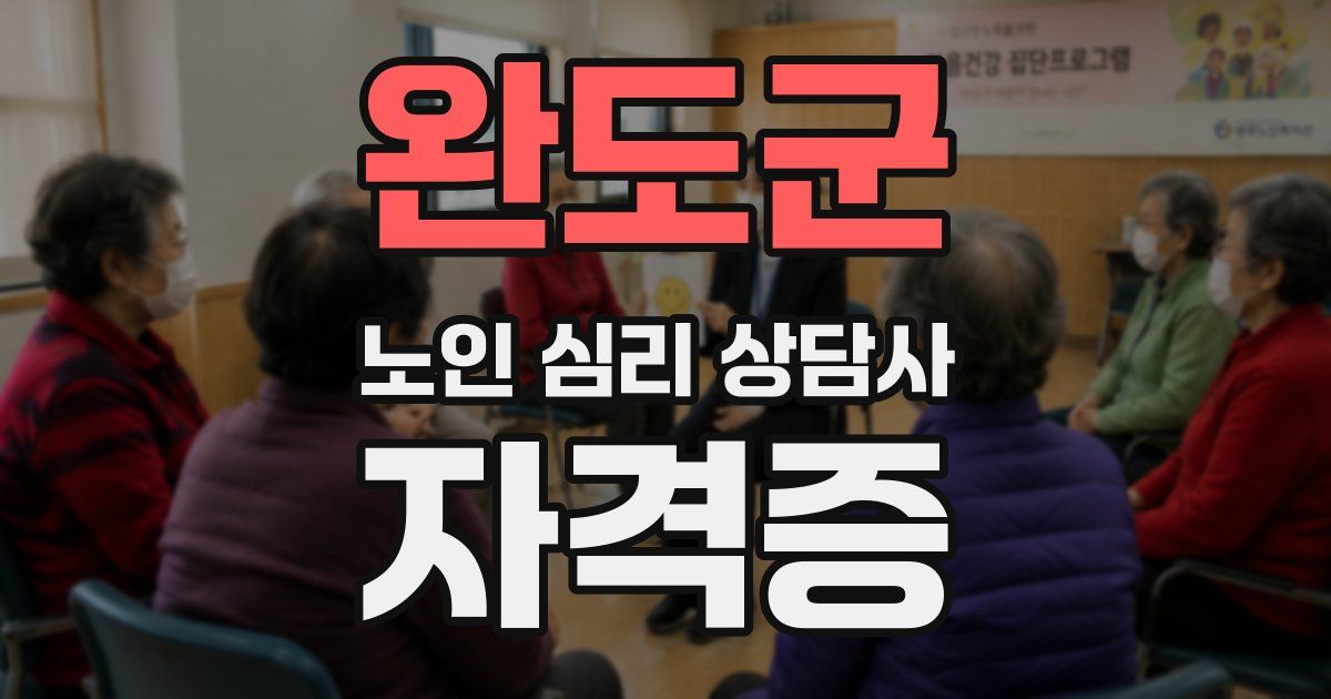 완도군 노인 심리 상담사 자격증
