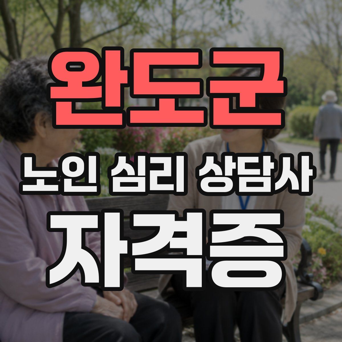 완도군 노인 심리 상담사 자격증